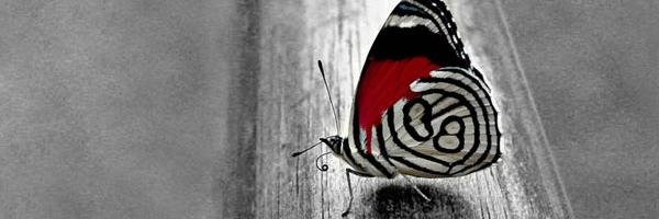 TSalekar's profile banner image