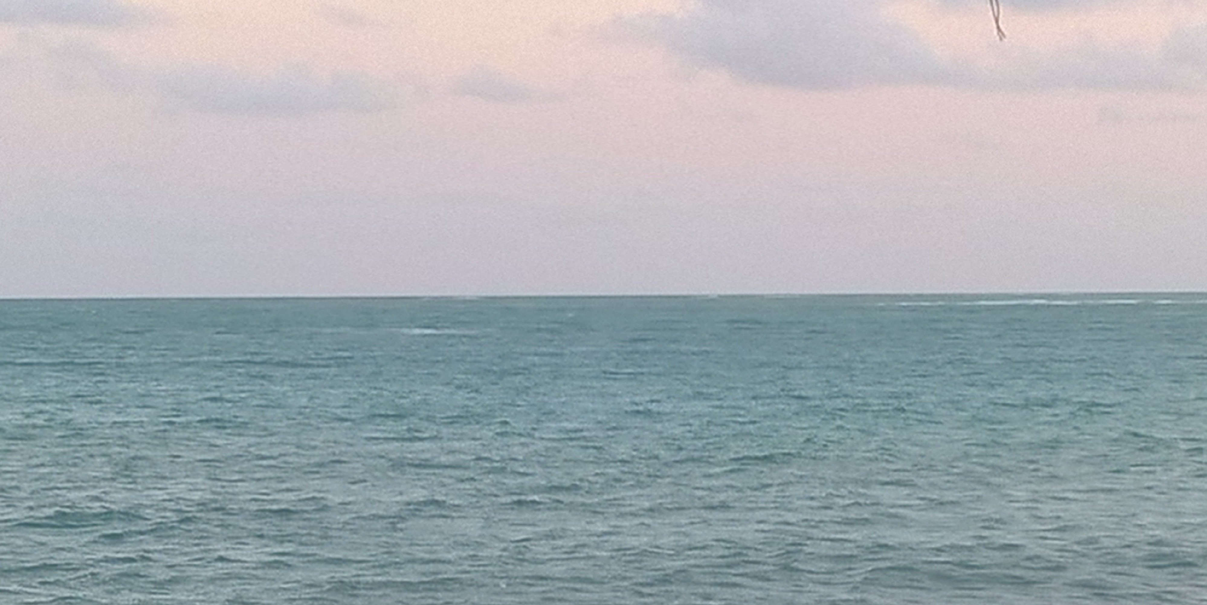 esteynid's profile banner image