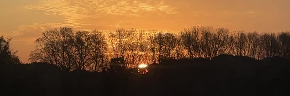 lensinamale's profile banner image