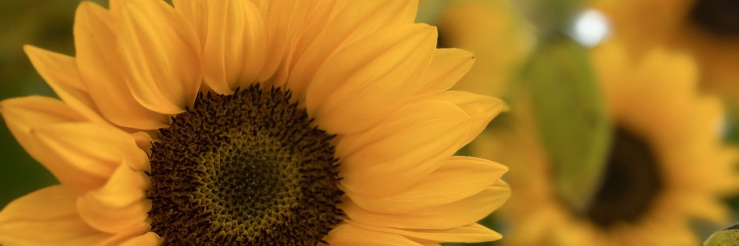 19_chi06's profile banner image
