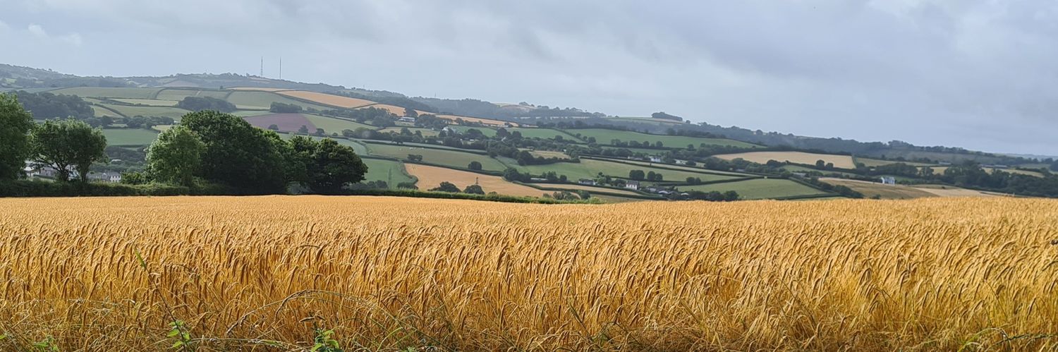 Tor Butler-Cole banner