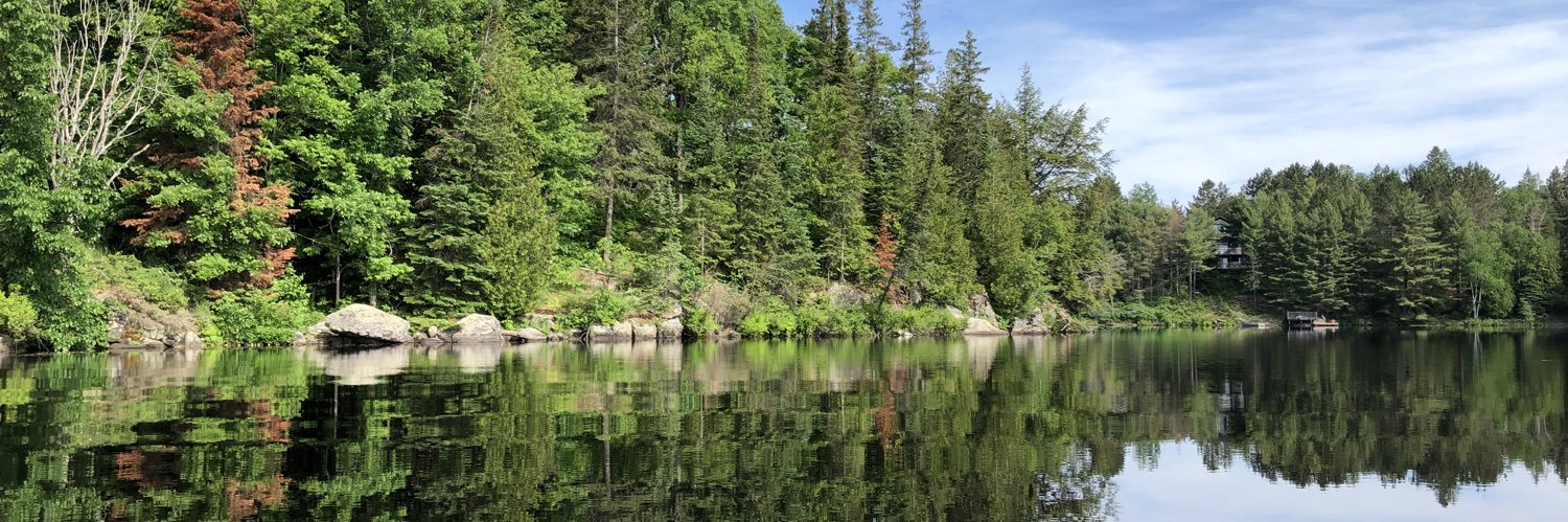 Lauren Maloney banner