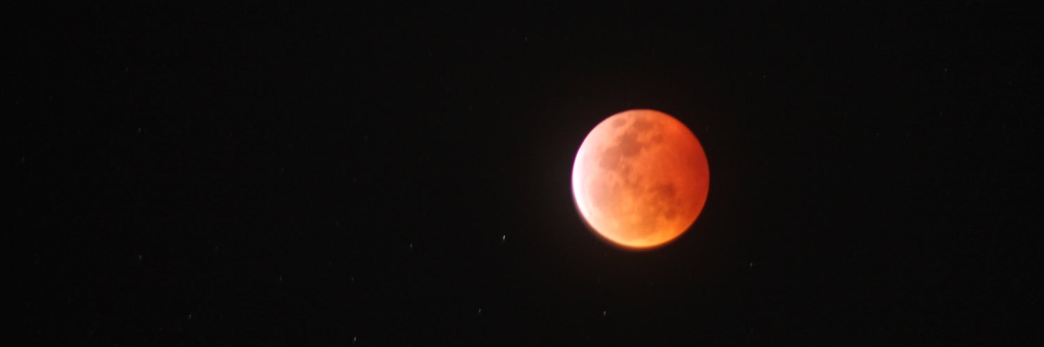 brooklynherman's profile banner image