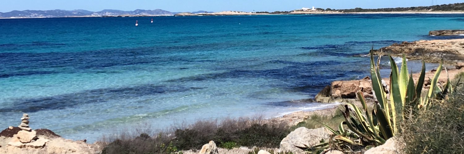 sweetandsaltylin banner