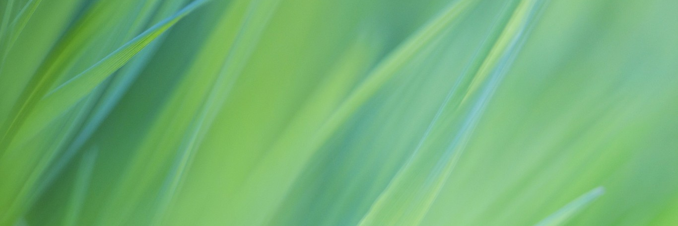 tkrkng's profile banner image
