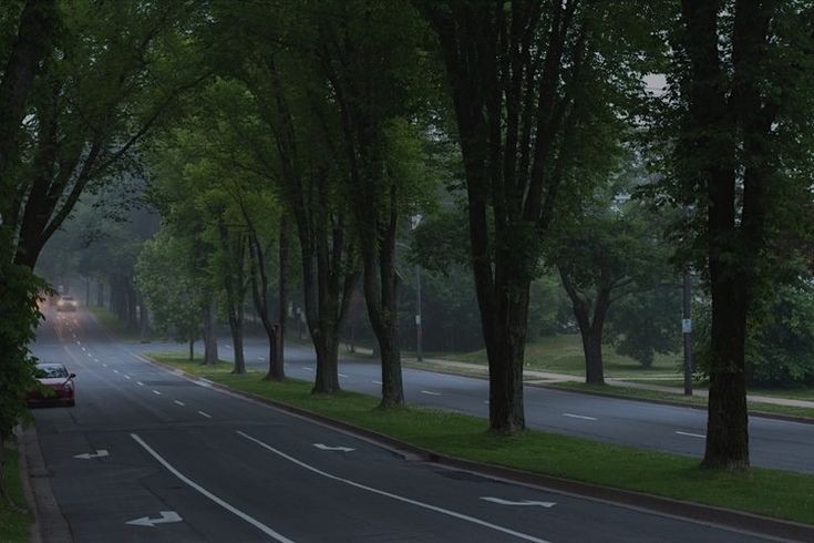 MaJoselun's profile banner image