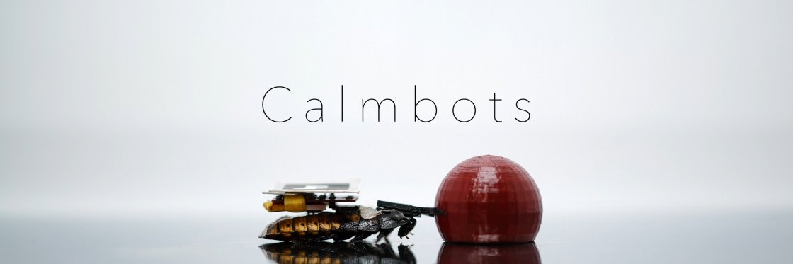 佃 優河/Yuga Tsukuda💩🦗🪲 banner