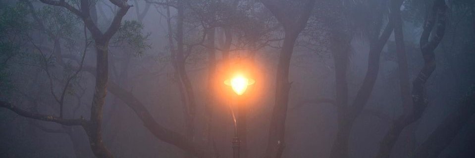 alex_ogle's profile banner image