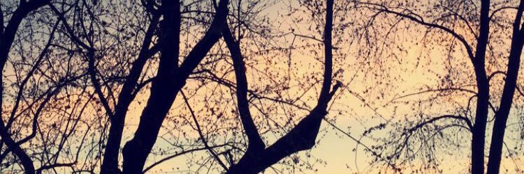nickrandall98's profile banner image