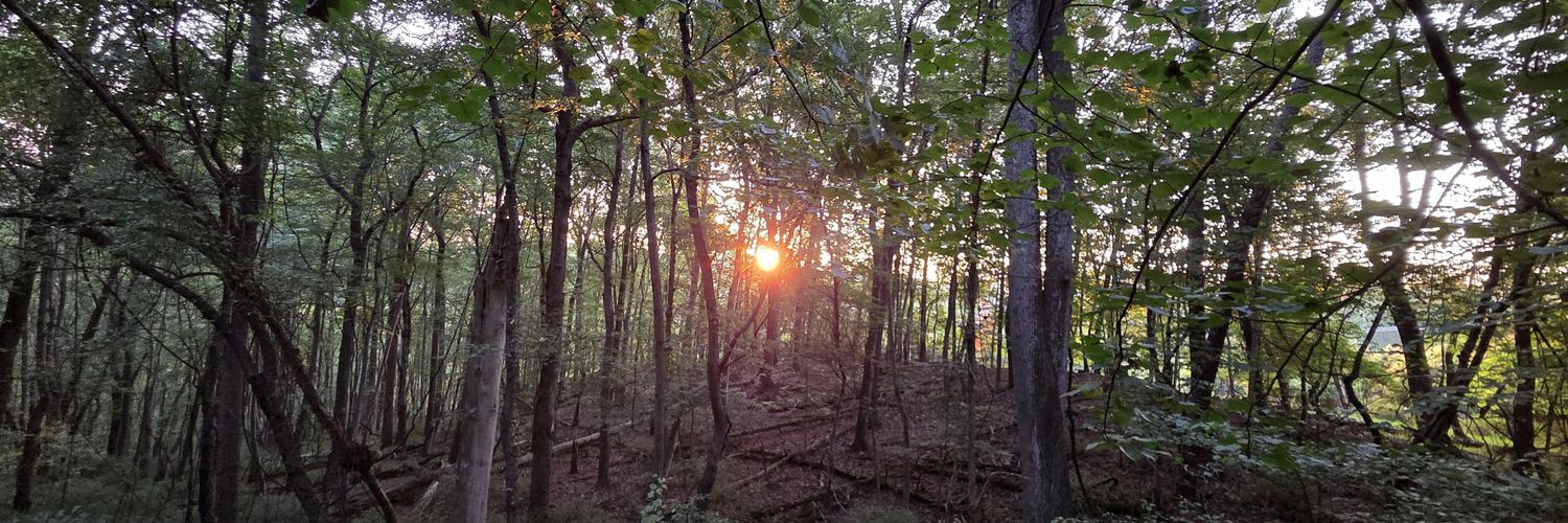 Titanium Archery Products - TAP banner