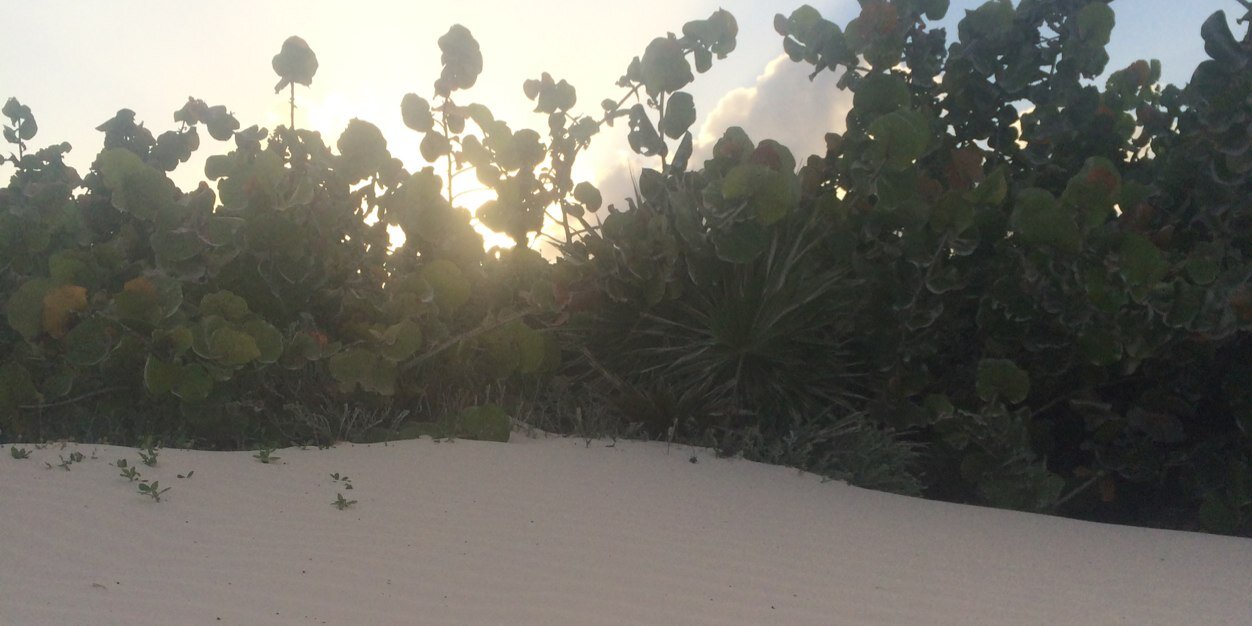 nayecuri's profile banner image