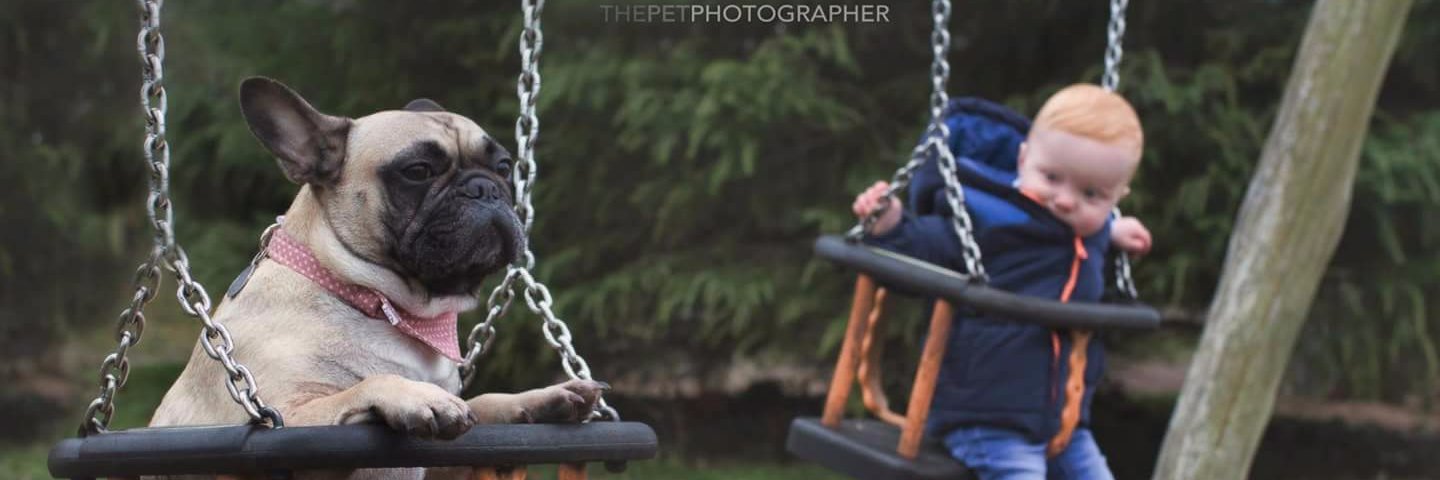 ThePudgeMM's profile banner image