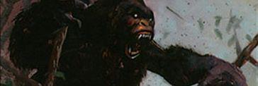 jamalworlds14's profile banner image