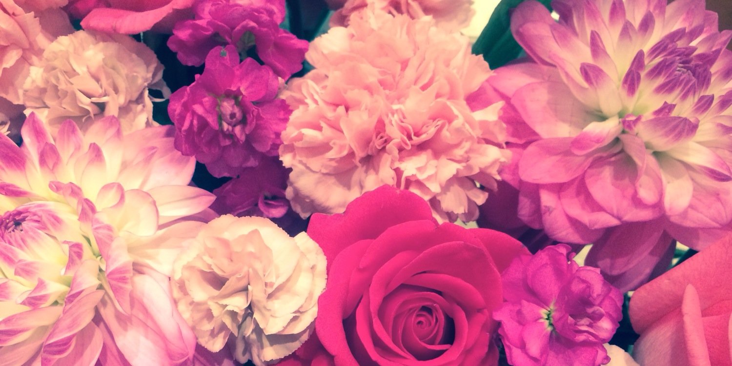maaya1262's profile banner image