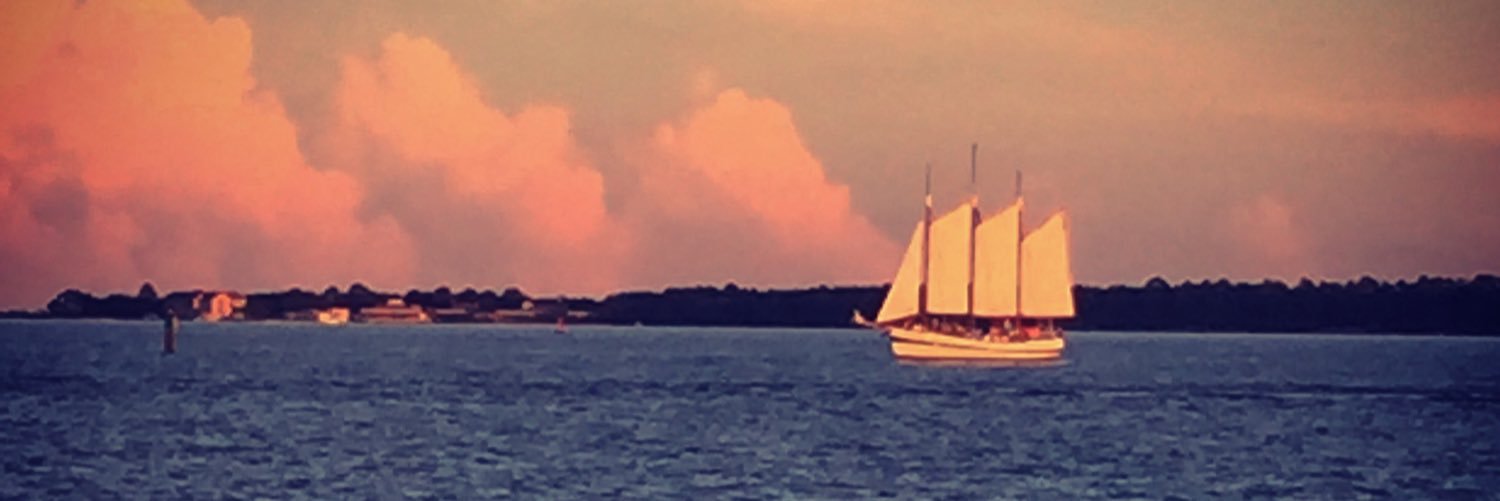 Taryn D'Aveta banner