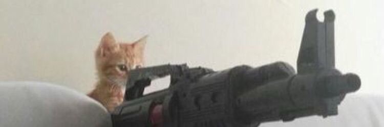 minedinar's profile banner image