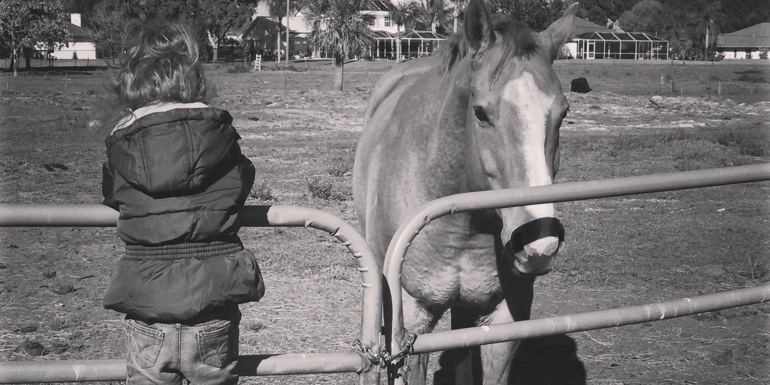 Ashley Morales banner