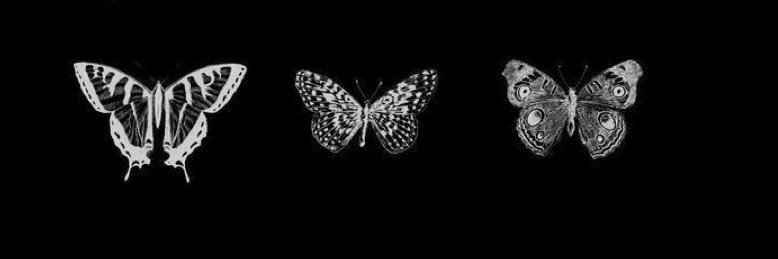 AsiahBerry15's profile banner image