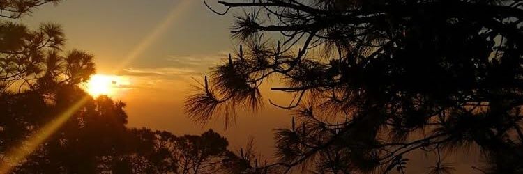anarfloresc's profile banner image