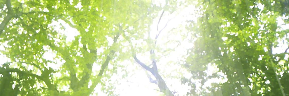 chanoh0's profile banner image