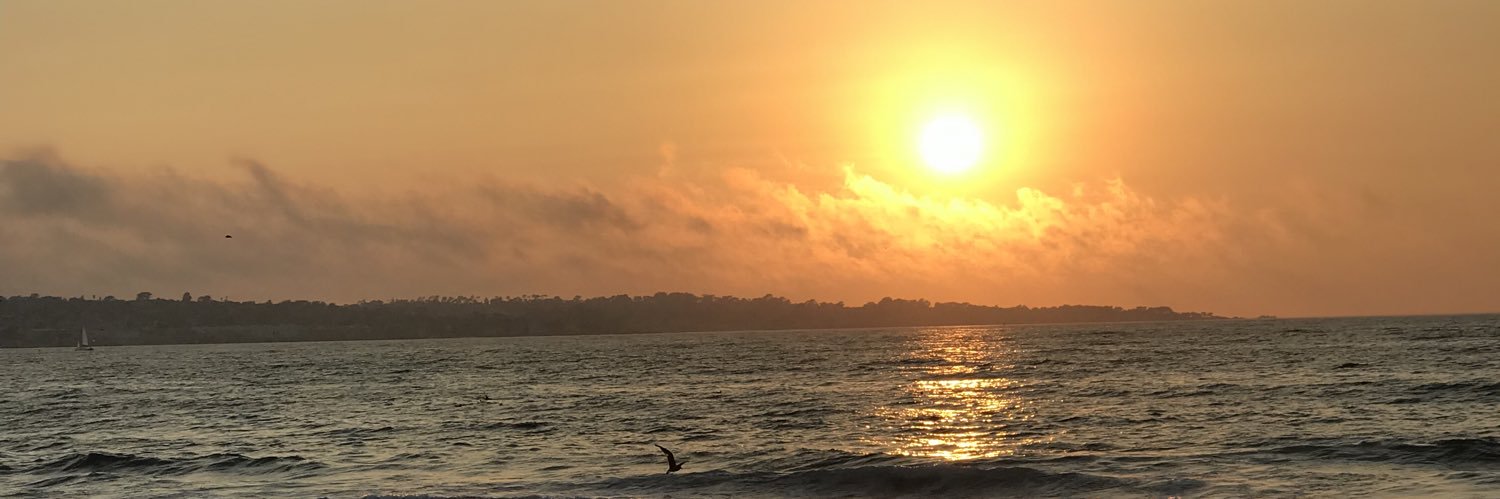 PageViolation1's profile banner image