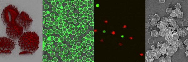 TheColloid Profile Banner