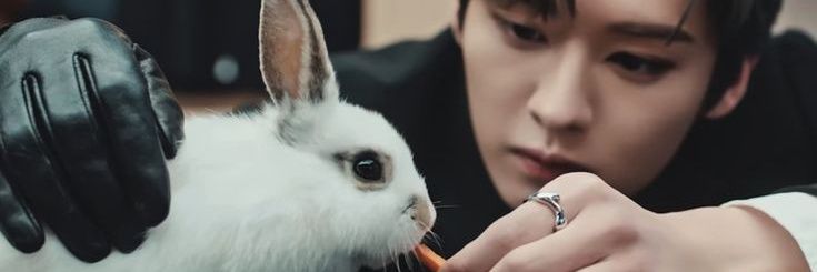 windileeknowbit's profile banner image