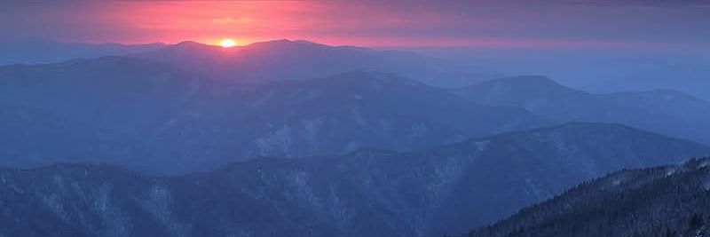 Dave📜🇺🇸 banner