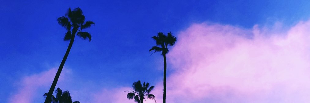 celiahubzryan's profile banner image