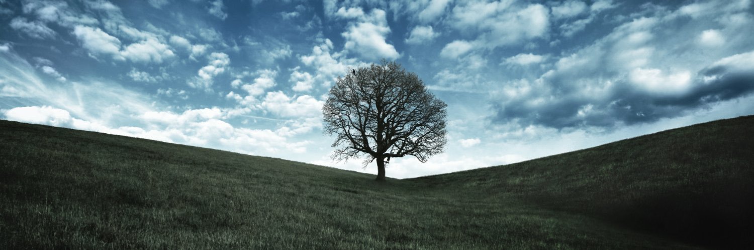 saadzin's profile banner image