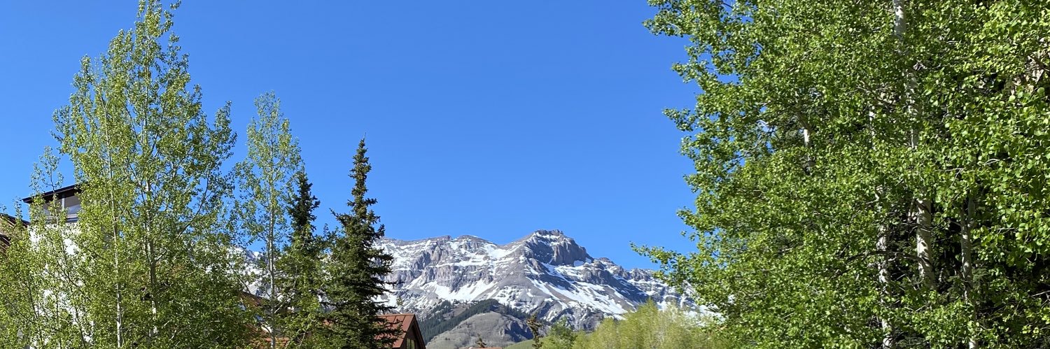 Kelly Fleming banner