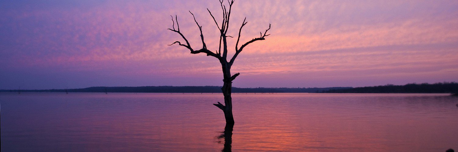 huckstraps's profile banner image