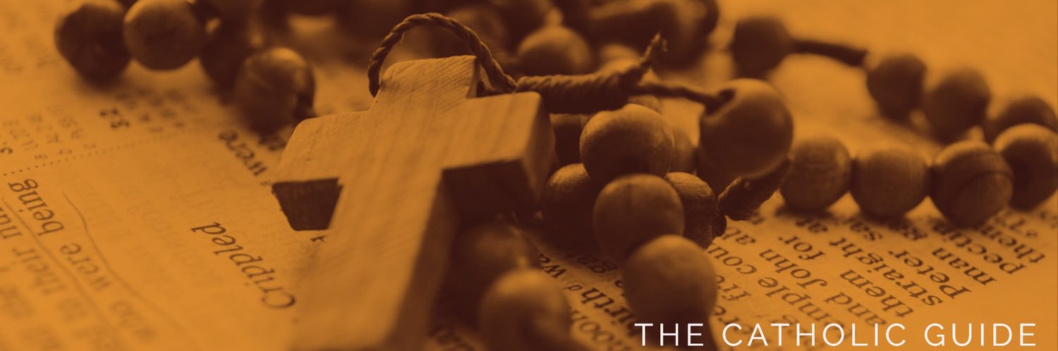 tc_guide's profile banner image