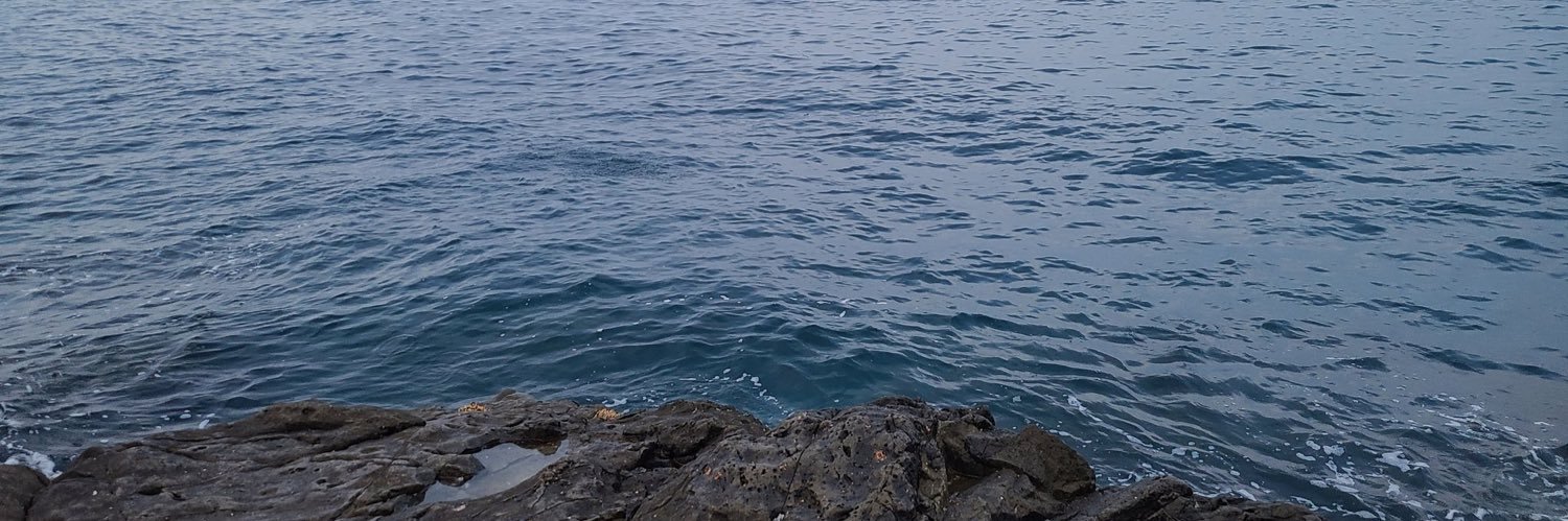 SHUFFFLEEP_4's profile banner image