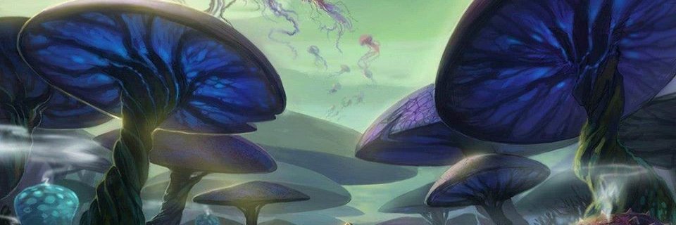 Петлюра з Криму banner