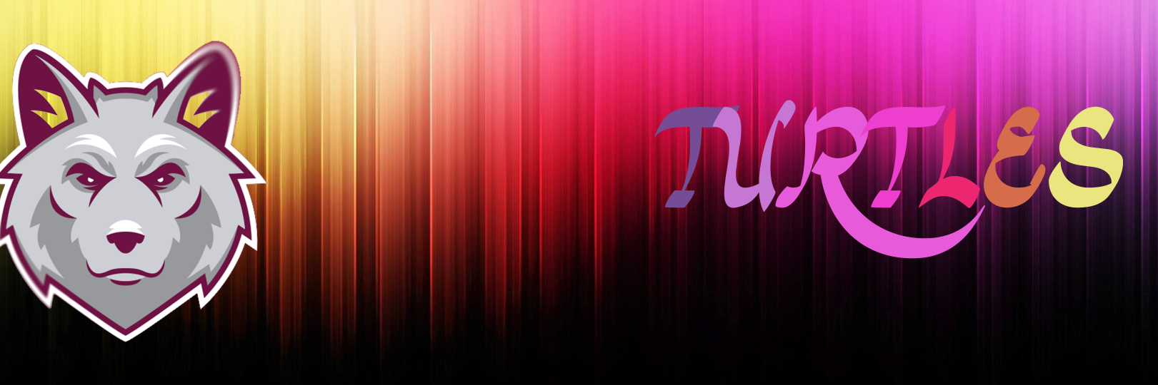 Turtle banner