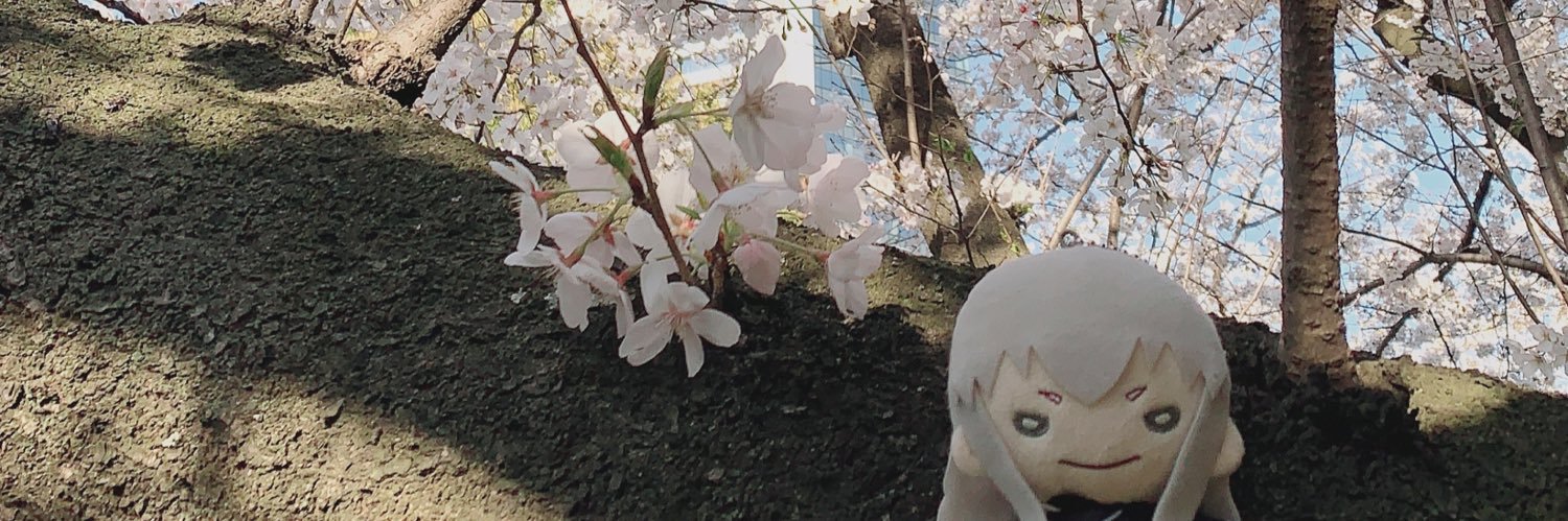 mikan2155's profile banner image