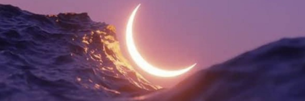 MarissaRyan13's profile banner image