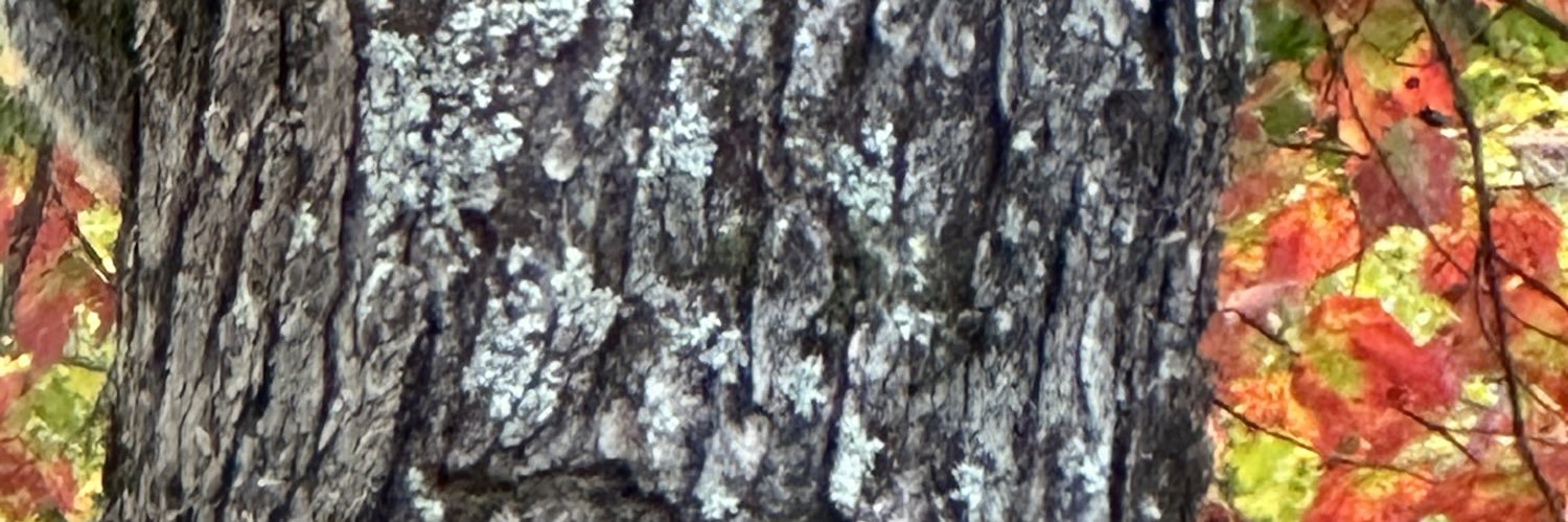 John77Smith's profile banner image