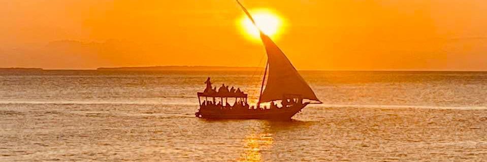 Peter Radiator banner