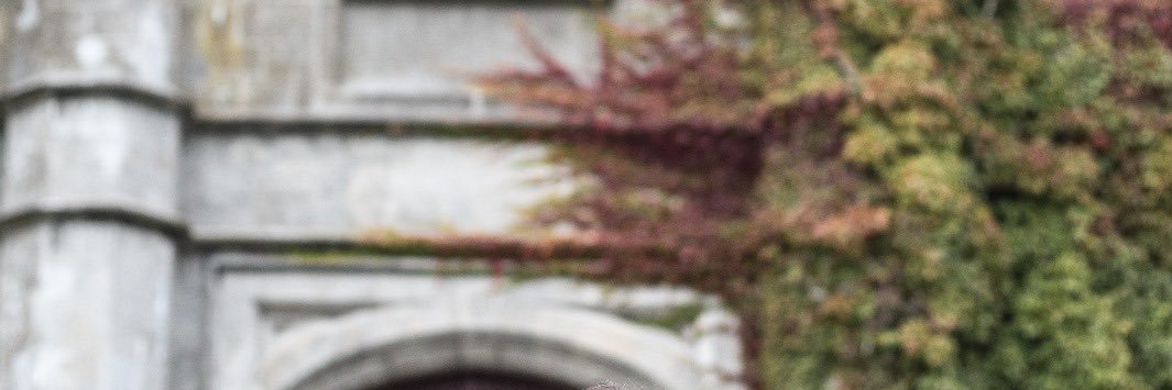 CaroLeyte's profile banner image