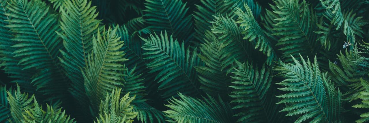 FerOR_07's profile banner image