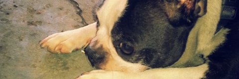 _jellycat_'s profile banner image
