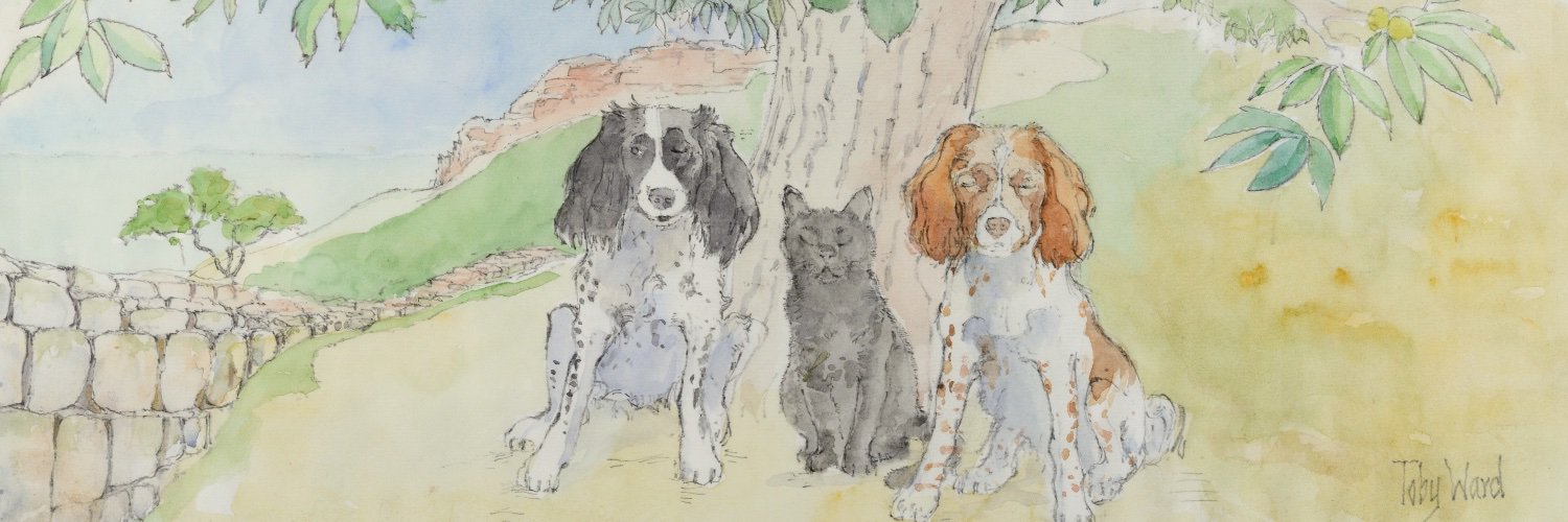 EnlightSpaniel's profile banner image