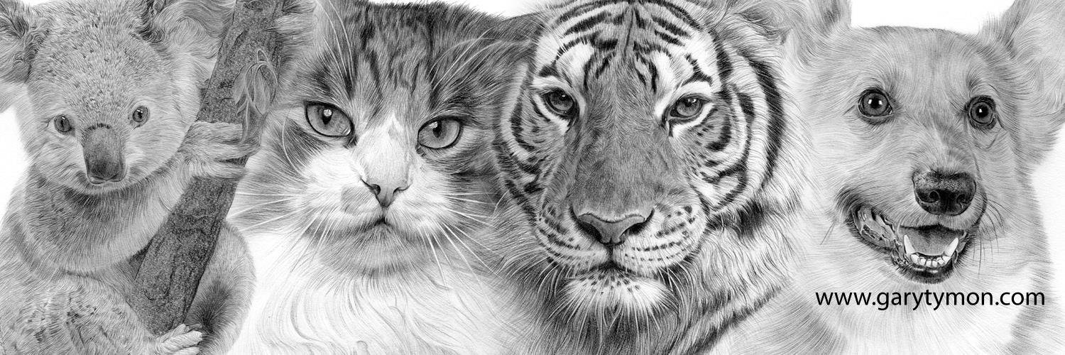 garytymon's profile banner image