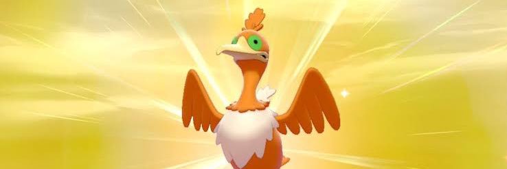 helugattya's profile banner image
