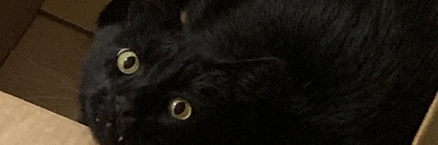 StaceyCopeland's profile banner image