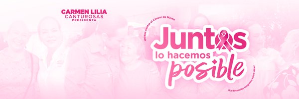 Carmenliliacrv Profile Banner