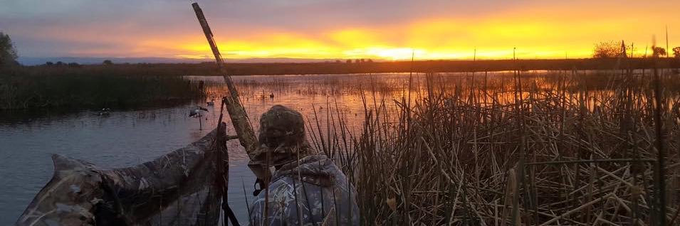 QuackAddict 🇺🇸🦆 banner