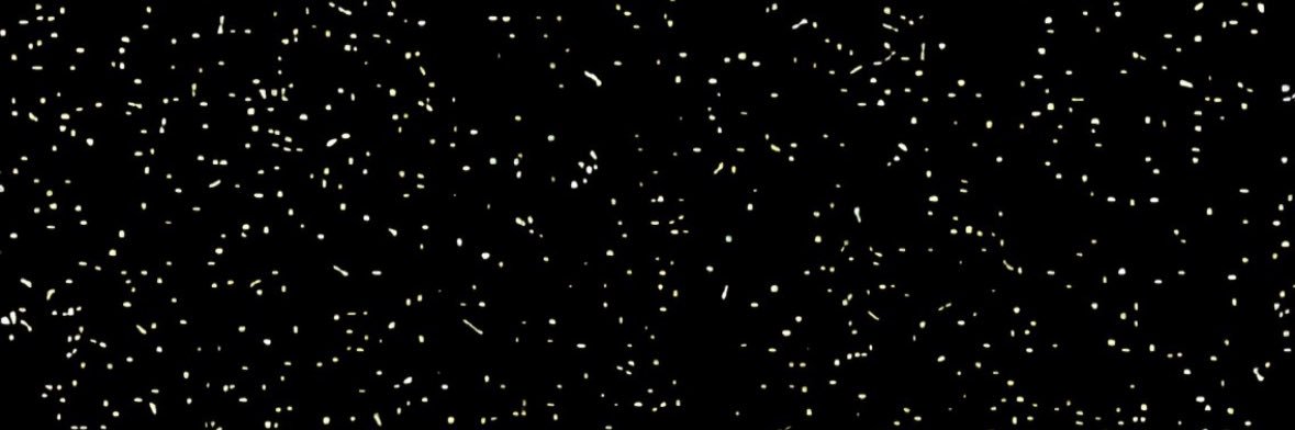 jbake17's profile banner image
